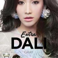 ราคา คอนแทคเลนส์รุ่น Extra Dali gray & brown สีเทา-สีน้ำตาล เปลี่ยนแทนทุกเดือน (1729798075650574695)