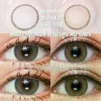 ราคา kitty kawaii mini jelly Gray,Brown (dia 14.2) คอนแทคเลนส์ค่าน้ำ 55% (สายตา 00 ถึง -600) (1729701608318798220)