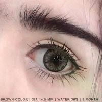 ราคา คอนแทคเลนส์สายตาปกติลายขายดี Icy-x Brown/Gray (Pitchylens) ขนาดบิ๊กอาย (1731148180862241036)