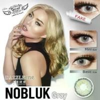 ราคา คอนแทคเลนส์สีเกาหลีรายเดือน รุ่น Nobluk และ Mini Nobluk สี Gray (1 Pair) (1730612531508251391)