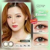 ราคา คอนแทคเลนส์รายเดือนคิตตี้ คาวาอิ รุ่น Mini Eileen Brown / Gray (1731377032432945784)
