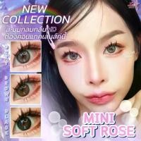 ราคา คอนแทคเลนส์ Mini Soft Rose (Limited Luxzylens) ขนาดมินิ Brown / Gray / Black (1731554534551226018)