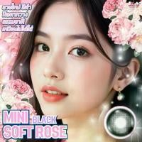 ราคา คอนแทคเลนส์ Mini Soft Rose ขนาดมินิ (Luxzylens Limited) Brown / Gray / Black (1731574376674788963)