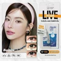 ราคา คอนแทคเลนส์รายเดือนคิตตี้ คาวาอิ รุ่น Bambi Hazel / Brown / Gray (1731377031778699896)
