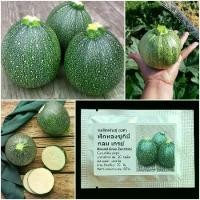 ราคา เมล็ดพันธุ์ ฟักทอง ซูกินี กลมเกรย์ Round Gray Zucchini Squash Seed 20 เมล็ด คุณภาพดี ของแท้ 100% (1731686933832173852)