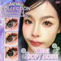 ราคา คอนแทคเลนส์ ✨Limited✨ Mini Soft Rose✨ขนาดมินิ✨Luxzylens✨Brown / Gray / Black (1732267751131088914)