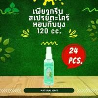 ราคา Pure Green เพียวกรีน สเปรย์กันยุงตะไคร้หอม ขนาด 120 cc. บรรจุ 24 ขวด (1729660979281627540)