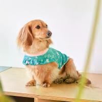 ราคา ชำระเงินปลายทาง (NEW IN!) Bug Guard One Hole: Green Garden (Englisher Garten Series) - เสื้อ Cooling กันแมลง สำหรับสุนัข แบรนด์ munikund รสชาติดี (1731852462032455389)