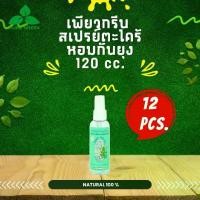 ราคา Pure Green เพียวกรีน สเปรย์กันยุงตะไคร้หอม ขนาด 120 cc. บรรจุ 12 ขวด (1729661039186839956)
