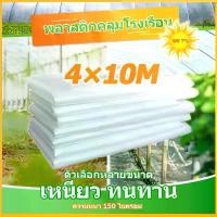ราคา จัดส่งที่รวดเร็ว พลาสติกคลุมโรงเรือน พลาสติกใส พลาสติกโรงเรือน ฟิล์มPE กันฝน Green House หนา 150 ไมครอน UV7% โรงเรือนแคคตัส พลาสติกปูบ่อ กันสาด (1731803030384182803)