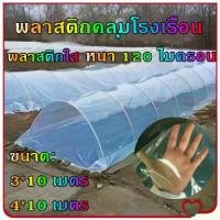 ราคา [พร้อมส่ง] t-Trading-พลาสติกคลุมโรงเรือน พลาสติกใส พลาสติกโรงเรือน ฟิล์มPE กันฝน Green House หนา 120 ไมครอน UV7% โรงเรือนแคคตัส พลาสติกปูบ่อ กันสาด (1731993681665362004)