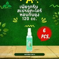 ราคา Pure Green เพียวกรีน สเปรย์กันยุงตะไคร้หอม ขนาด 120 cc. บรรจุ 6 ขวด (1729660972719507860)