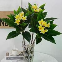 ราคา ดอกไม้จากผ้าใยบัว จำลอง Plumeria Rubra, ลำต้น�นเดี่ยว, การพิมพ์ 3 มิติ, ความรู้สึก Plumeria Rubra พวง, ดอกไม้ประดิษฐ์ห้องนั่งเล่น, ภูมิทัศน์สวน, เลียนแบบใบไม้ green flower narci (1731589875830852015)