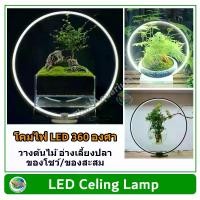 ราคา โคมไฟวงกลม LED 360 องศา ไฟตู้ปลา ไฟโชว์สินค้า 360 LED Lamp (1729475577671616943)