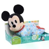ราคา Disney Baby ตุ๊กตาชวนคลาน หัดคลาน มิกกี้ มินนี่ รุ่น Musical Crawling Pals Plush Mickey and Minnie Mouse ของเล่นสำหรับเด็ก (1731865638450725935)