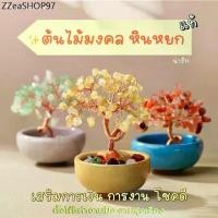 ราคา ต้นไม้ Office สายมู ตั้งโต๊ะ เสริมการงานเติบโต (ส่งด่วน มีกล่อง) ต้นไม้มงคล ไผ่กวนอิม ตั้งโต๊ะทำงาน Luxuary แต่งบ้าน (1732201076111148792)