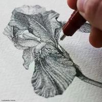 ราคา Rotring ปากการอตตริ้ง ปากกาเขียนแบบ ไอโซกราฟ 0.1/0.2/0.3/0.5mm Rotring Isograph Technical Drawing Pen (1732216155695843766)