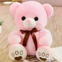 ราคา 2025 2025 [1699 ซื้อคืน] Pink Bear Hug Bear Plush Toy Teddy Bear Doll Girl ของขวัญวันเกิดอินเทอร์เน็ต คนดัง Plush Panda ราคาถูก ตุ๊กตา แอล มอน โปรเกรส หมา พุดเดิ้ล ทอย จุ่ม สติช miniso ตุกกะตา (173226