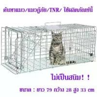ราคา ส่งฟรี!!ถูกที่สุด!!Hot Sale Stainless Steel Cage กรงสแตนเลสCatTrap4You กรงดักแมว (ไซส์ XL) พับได้ จับแมวจรจัด จับแมว ดักจับแมว ดักจับแมวจร. (1729768366912342257)
