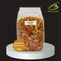ราคา ลูกเกดเหลือง Yellow Raisin นำเข้าจากประเทศอิหร่าน (แบ่งบรรจุ 1 กิโลกรัม) (1729600712651933752)
