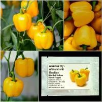ราคา เมล็ดพันธุ์ พริกหวานจิ๋ว สีเหลือง Mini Bell Yellow Sweet Pepper Seed 30 เมล็ด คุณภาพดี ของแท้ 100% (1732305530579355932)