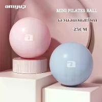 ราคา amyup ลูกบอลโยคะ 25-65 เซนติเมตร บอลโยคะ ลูกบอลออกกำลังกาย Mini Yoga Ball 25cm-65cm (1731377162687580094)