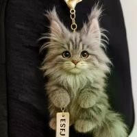 ราคา จี้ลูกแมว, ของเล่นตุ๊กตา, ตุ๊กตาแมนเทิร์น, จี้พวงกุญแจกระเป๋า, ของขวัญ (1732084004072293899)