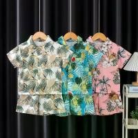 ราคา ชุดสูทแขนสั้นเด็ก มาใหม่ เสื้อเชิ้ตผู้ชาย ชุดสูทแขนสั้น กางเกงขาสั้น ชุดชายหาด สูทสองชิ้น ชุด ปฏิบัติธรรม เด็ก เสื้อ เด็ก ผู้ ชาย ขายาว ชุด งานแต่ง เด็ก ผู้ ชาย สีชมพู ชุด หม้อห้อม เด็ก (1731269674807