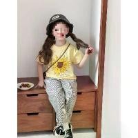 ราคา เสื้อยืดสไตล์เกาหลี สำหรับเด็กผู้หญิง ทันสมัย เสื้อชั้นฐาน ใส่สบาย ระบายอากาศได้ดี เส้นด้ายคู่ ผ้าฝ้ายนุ่ม ลายการ์ตูนน่ารัก แขนสั้น แฟชั่น เสื้อ กล้าม เด็ก ถุงเท้า ลูกเสือ ผู (1731543156624033107)