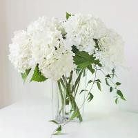 ราคา ดอกไม้ไฮเดรนเยียประดิษฐ์เหมือนจริง ชุด 5 ชิ้น สีงาช้าง เหมาะสำหรับตกแต่งบ้าน งานแต่งงาน สำนักงาน และงานปาร์ตี้ ตกแต่งห้องนั่งเล่น มาลัย เช่า หญ้าแพรก ไหว้ พระพิฆเนศ (1732150211804956169)