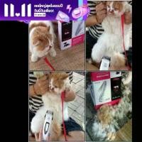 ราคา COD ปัตตาเลี่ยนไร้สายและไร้สาย Codos KUKU KP-3000 (สีขาว)TikTok (1731473376085050558)