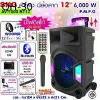 ราคา ลำโพงล้อลาก 12 นิ้ว SKG 6000 W ไฟวิบวับ รุ่ รุ่น AV-1000 BT12 สีดำ รับประกัน1 ปี (1731598049482409335)