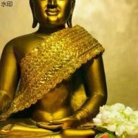 ราคา ขายดี ผ้าสไบห่มพระพุทธรูป ผ้าสไบทิพย์ ผ้าสไบห่มพระ สไบห่มองค์พระ แบบเรียบ สำหรับองค์พระหน้าตัก 9 นิ้ว สีทอง (1731396331771889390)