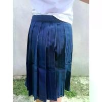 ราคา กระโปรงนักเรียนจีบรอบ สีน้ำเงิน กระโปรงเด็กนักเรียนหญิง ถูกระเบียบ สินค้าพร้อมส่ง - YOU AND BABY- (1732183701561117488)