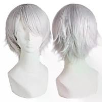 ราคา วิกผม Tongman Cos สำหรับผู้ชายและผู้หญิง ผมสั้น 30 ซม. ป้องกันการดัดผมอเนกประสงค์ ผมหยิกตรง สีเงิน สีขาว และสีเทาอ่อน สไตล์อนิเมะ วิกผมเต็มหัว (1732096083165021359)