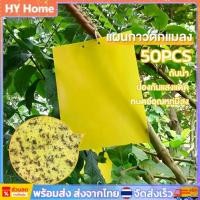 ราคา [พร้อมส่ง] 50 แผ่น กาวดักแมลงวันทอง สีเหลือง แผ่นกาวดักแมลง กาวเหนียว 2 ด้าน เหนียว ทนแดด มีกาวในตัว (1731904355632777130)