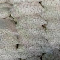 ราคา ดินสอพอง แป้งสี สงกรานต์ PAZIUM แป้งคุมมัน แป้งพัฟ แป้งตลับ Oil Control Powde ซอฟต์ไลท์ บิวตี้ คุมมัน แป้ง 10 กรัม (1732181693223569021)