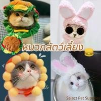 ราคา Select Pet Supplies 【Alemost Best】 Hats, Pets, Cat Hats, Dog Hats, Cats, Cats, Panda, Panda, Halloween Pork, Cat Dogs (1732209053989766406)