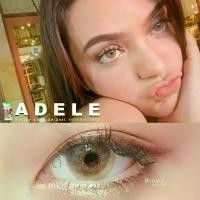 ราคา PrettyDoll Contactlens คอนแทคเลนส์ รุ่น Adele สี Brown & Gray สำหรับสายตา 0.00 ถึง -6.00 เลนส์นิิ่มใส่สบายตา พร้อมตลับคอนแทคเลนส์ (1729631804827994682)