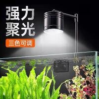 ราคา ไฟพืชน้ำ, Yee, ไฟถังพร้อมสาหร่ายบาน, ขายึดอลูมิเนียมอัลลอยด์, หลอดปล่อยสี, ไฟตู้ป้องกันปลา, ไฟจี้, มีจำหน่ายใน Amazon, ขายส่ง ชุด พร้อม เลี้ยง ตู้ปลา โหลแก้ว ใส่ ปลากัด gree (1732156621225952990)