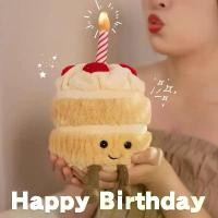 ราคา ตุ๊กตาเค้กวันเกิด HAPPY BIRTHDAY CAKE มีไฟ LED มีเสียงเพลง ตุ๊กตา แหวน ของขวัญวันเกิด (1732113557097907550)