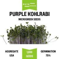 ราคา เมล็ดพันธุ์ โคลราบิม่วง (Purple Kohlrabi Sprout) กะหล่ำปมม่วง ไมโครกรีน Microgreens PETE SEEDS (1731837374571316243)