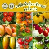 ราคา เมล็ดพันธุ์ มะเขือเทศ ประกายม่วง 100% ออร์แกนิค Non-GMO พรีเมี่ยม (Organic Purple Shine Tomato Seeds) 50 เมล็ด (1731826004740770695)