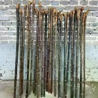 ราคา ไม้เท้าเดินป่าไม้ไผ่สีม่วงธรรมชาติแท้ Authentic,Natural Purple Bamboo Hiking Stick (1732030869001176528)