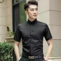 ราคา เสื้อเชิ้ตสไตล์ฮ่องกง สำหรับผู้ชาย แขนยาว ทรงสลิมฟิต ไร้เหล็ก แบรนด์แฟชั่น ธุรกิจ เสื้อทำงานธุรกิจอินเทรนด์ เหมาะสำหรับเยาวชน ปี 2025 kings polo polo บิ๊กไซส์ gq gq (1731534054772540663)