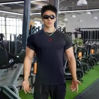 ราคา Shark Fitness, GYMSHARK, เสื้อยืดแขนสั้นผู้ชาย, ชุดลำลอง, ระบายอากาศได้, รัดรูป, เหมาะสำหรับวิ่งและกีฬา, ใหม่ในปี 2025 new gen gymshark (1731704100311631436)