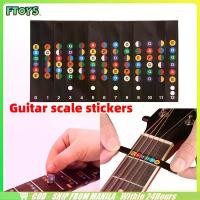 ราคา จัดส่งใน24ซม.สติกเกอร์คอร์ดกีตาร์ fretboard guitar sticker สำหรับผู้เริ่มต้น สติ๊กเกอร์โน๊ตสเกลกีตาร์ (1731501642117646292)