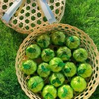 ราคา เหรียญโปรยทาน แอปเปิ้ล ตัวเปล่า (1729998788997057483)