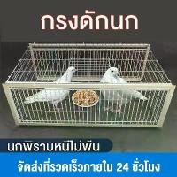 ราคา Discount เพนียดดักนก กรงดักนก กรกดักนกเขา กรงกับดักนกพิราบ กรงนกพิราบ ที่ดักนก กรงนกทางเดียว กรงต่อนก capture bird cage รสชาติดี (1731304464715122341)
