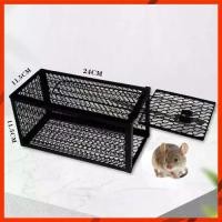 ราคา Discount MUSCLE COW กรงดักหนูสปริง2ตัวโครงหนา กรงดักหนู กรงดักหนูแบบมีโครง กรงดักหนูสปริงคู่ กรงดักหนูนา กรงดักหนูเล็ก กรงดักหนูถูกๆ ที่ดักหนู อาหารเม็ด (1731306269317170909)